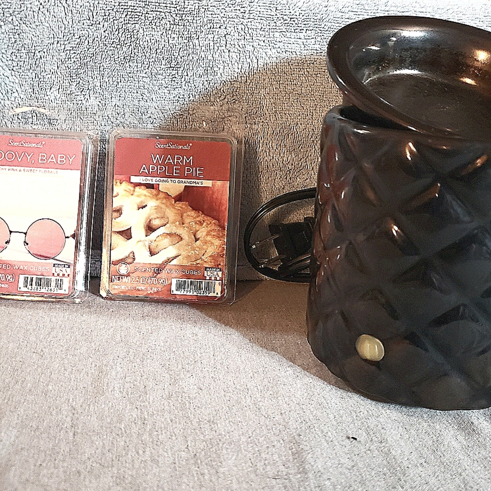 Wax Warmer + 2 Scents